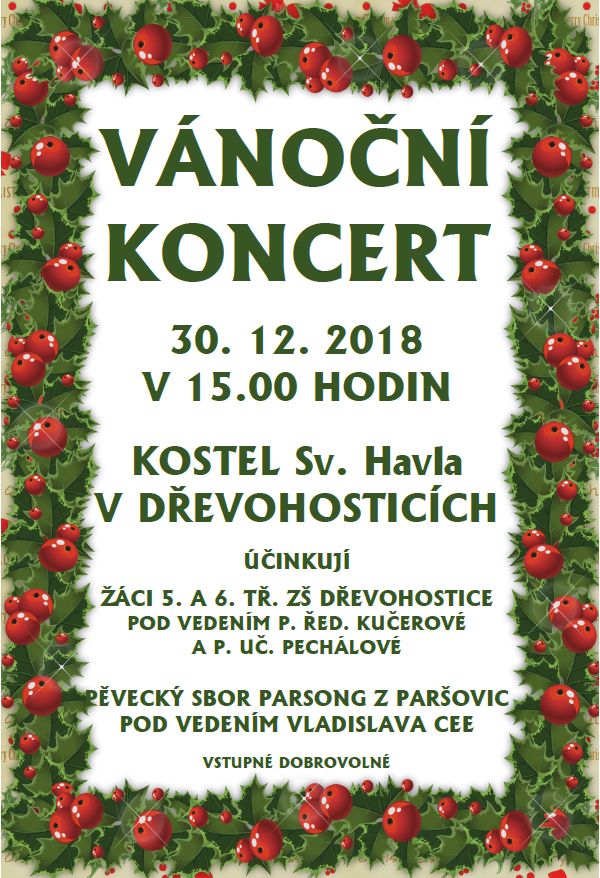 vánoční koncert.jpg